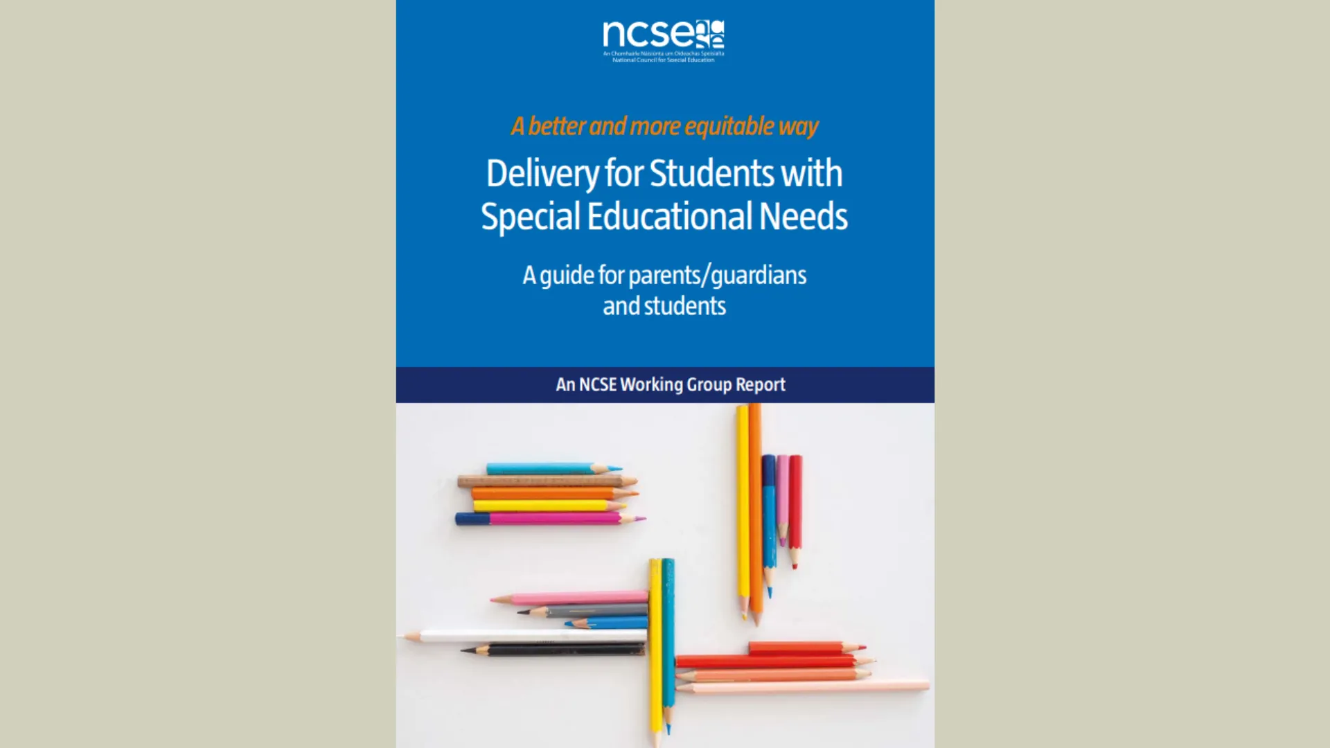 Cover of NCSE report titled "Delivery for Students with Special Educational Needs: A guide for parents/guardians and students"