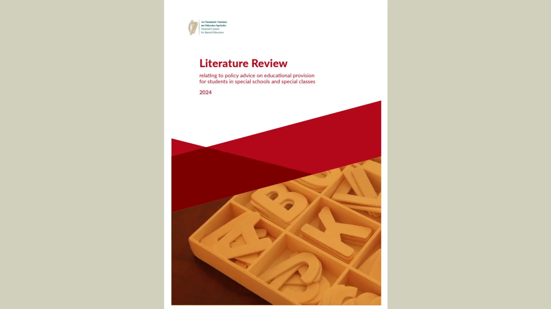 Cover page of a literature review on educational provision for students in special schools and special classes.