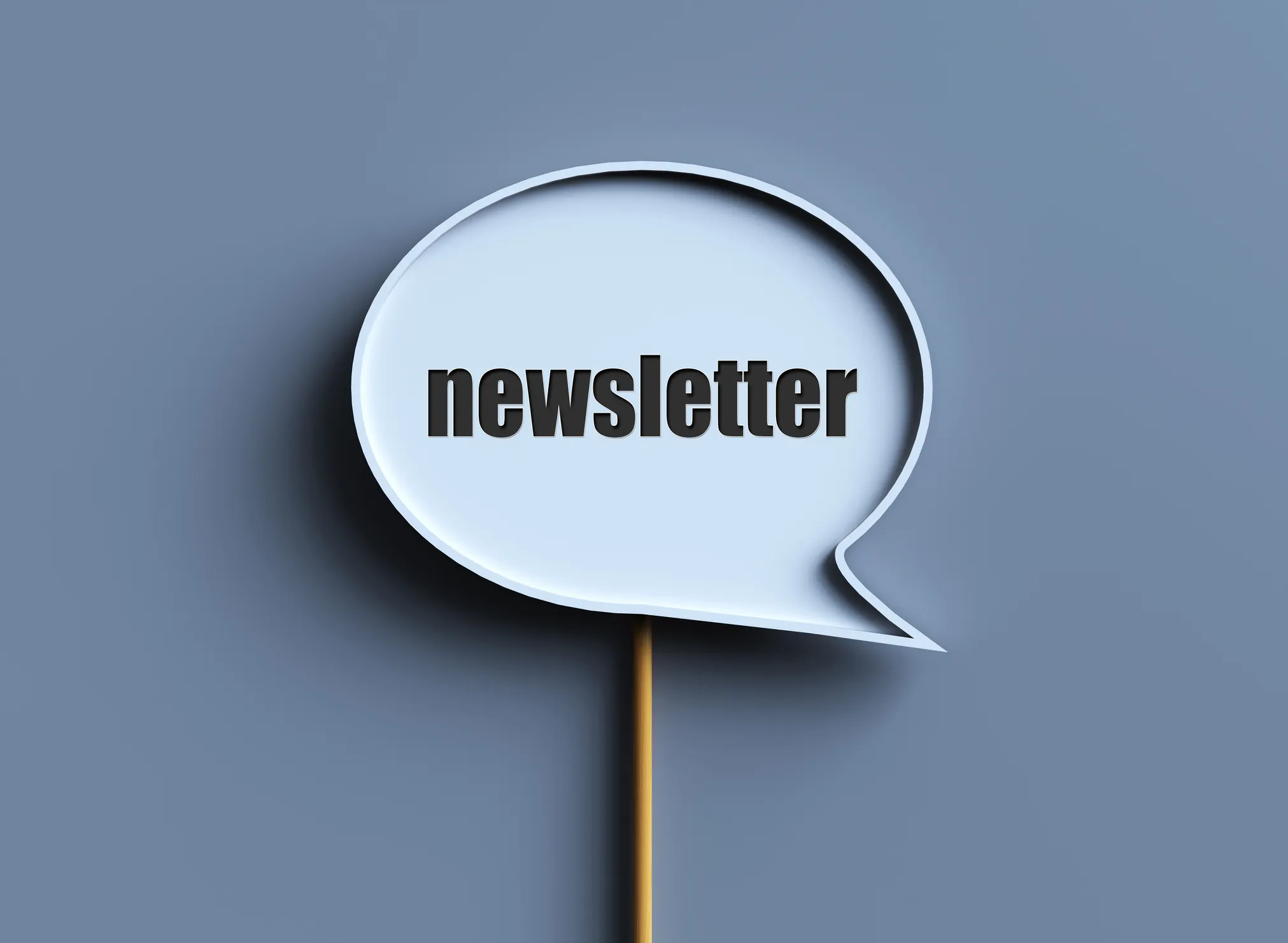 Speech bubble with the word "newsletter"