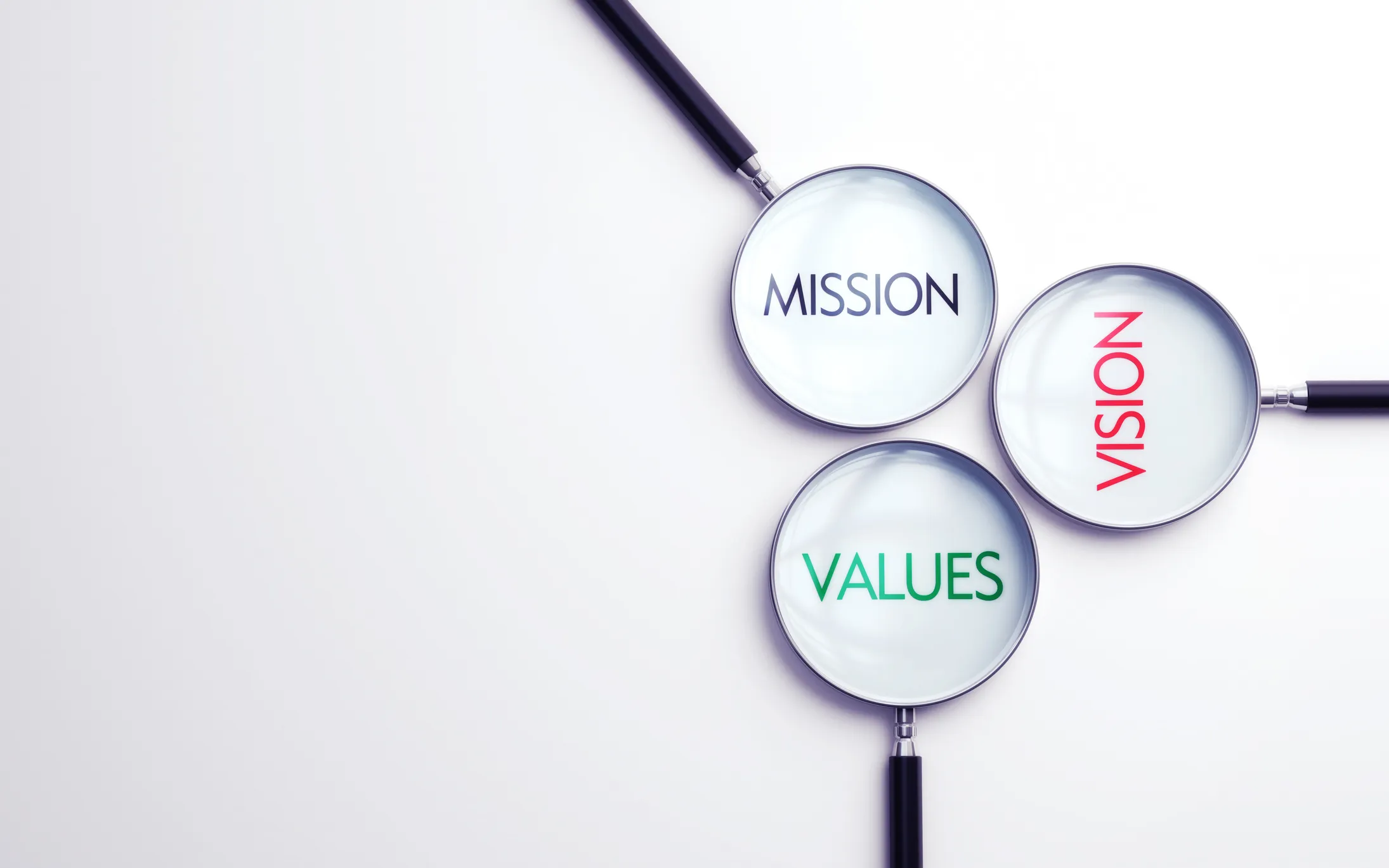 John Kearney and members of staff standing in front of a banner for the NCSE, holding a publication